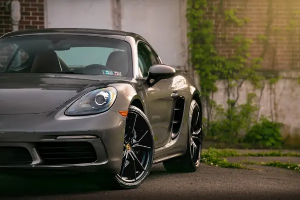 Kazino Spin Pug Android/iOS programa